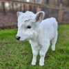 Mini Highland Cow (Penny)